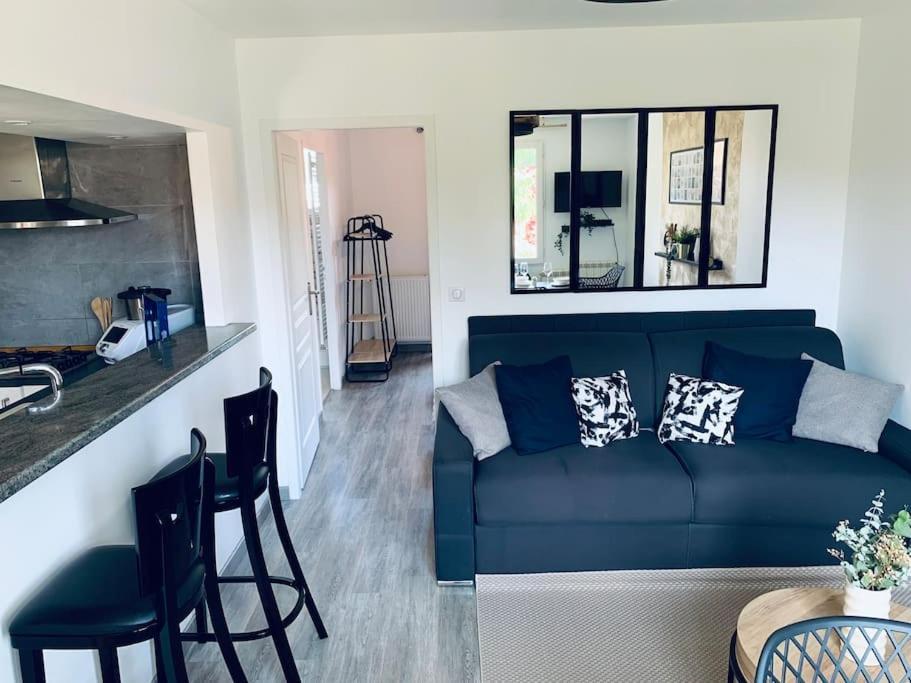Appartement Proche Asterix, Stade De France, Chantilly, Roissy, Piscine Saisonniere La Chapelle-en-Serval Εξωτερικό φωτογραφία